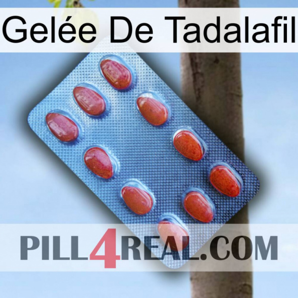Gelée De Tadalafil 06